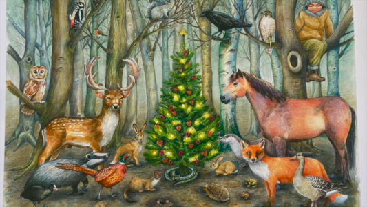 Whose Poo? Woodland Advent Calendar