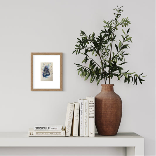 Setaceous Hebrew Moth