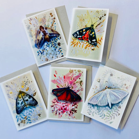 Set of 5 A7 Moth Greetings Cards