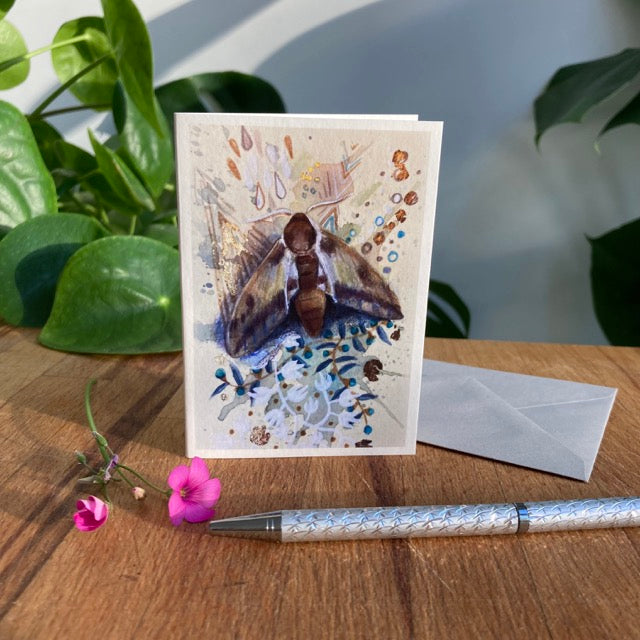 Set of 5 A7 Moth Greetings Cards