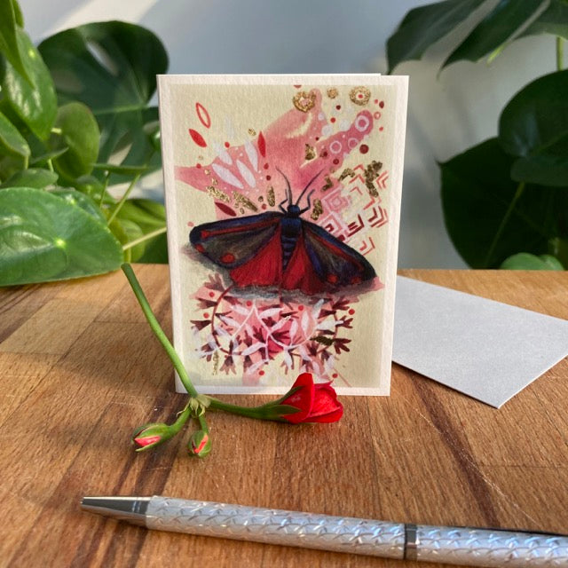 Set of 5 A7 Moth Greetings Cards