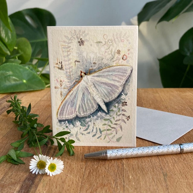 A7 Moth Greetings Card