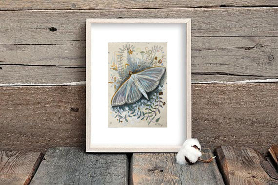 Jasmine Moth.