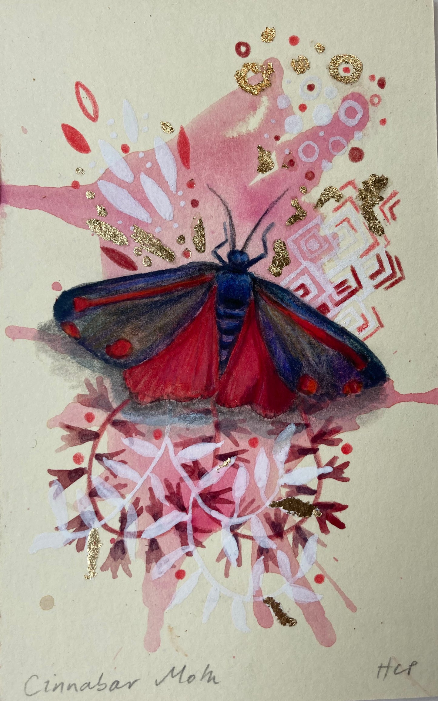 Cinnabar Moth.
