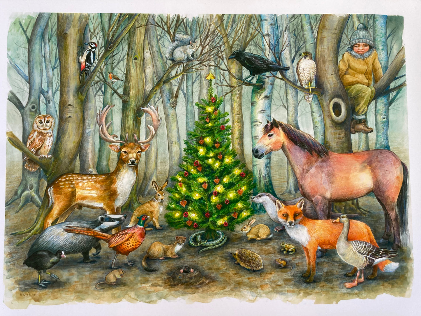 Woodland Scene Art Print