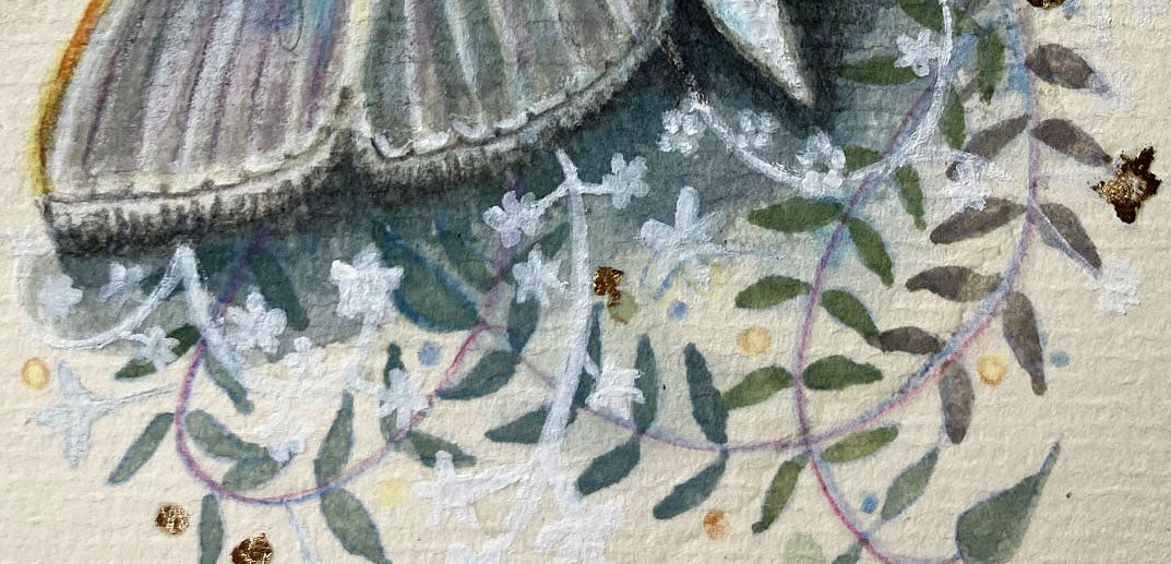 Jasmine Moth.