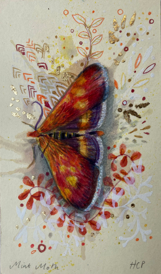 Mint Moth.
