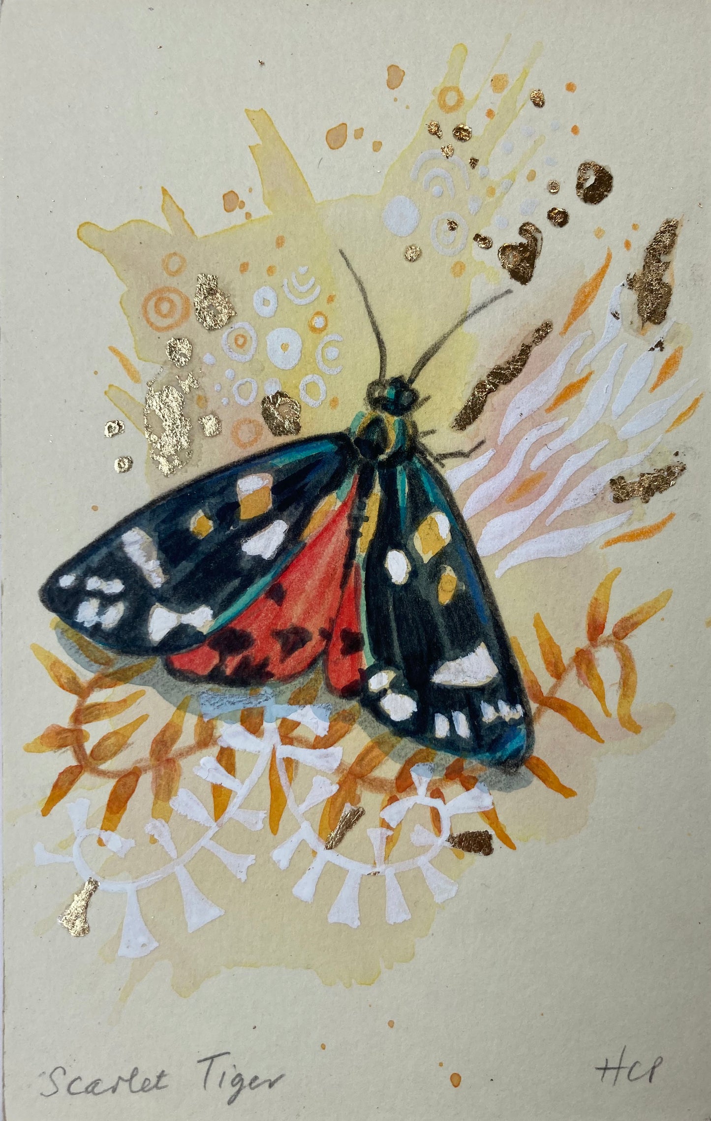 Scarlet Tiger.