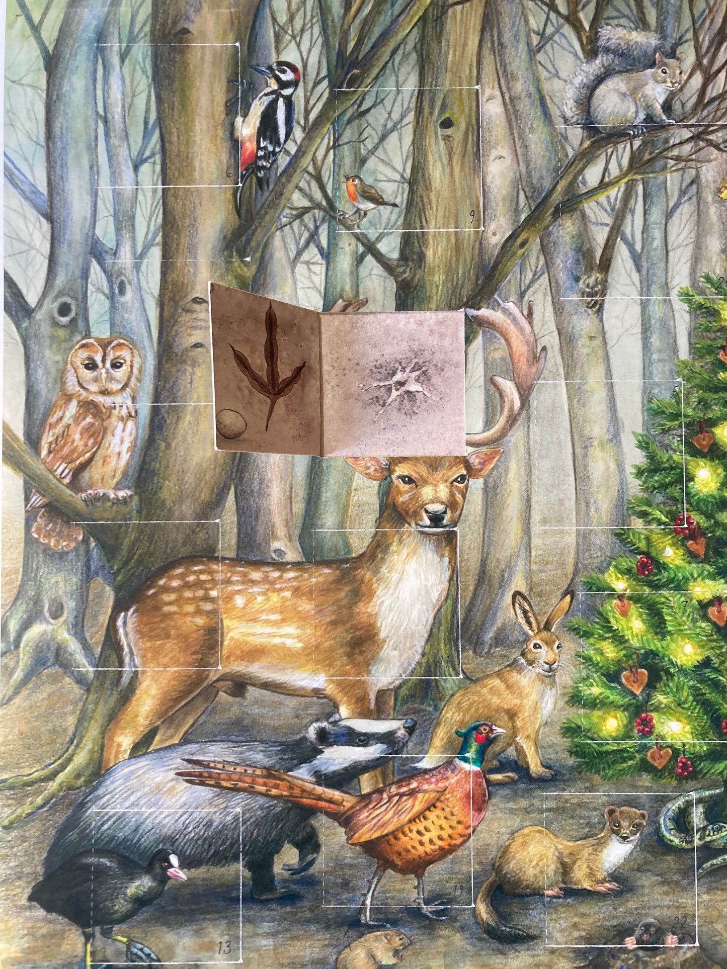 Whose Poo? Woodland Advent Calendar
