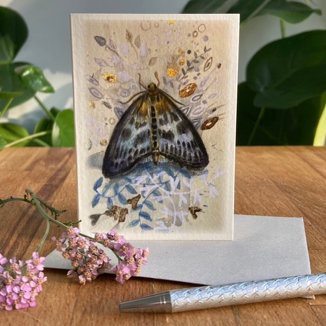 Set of 5 A7 Moth Greetings Cards