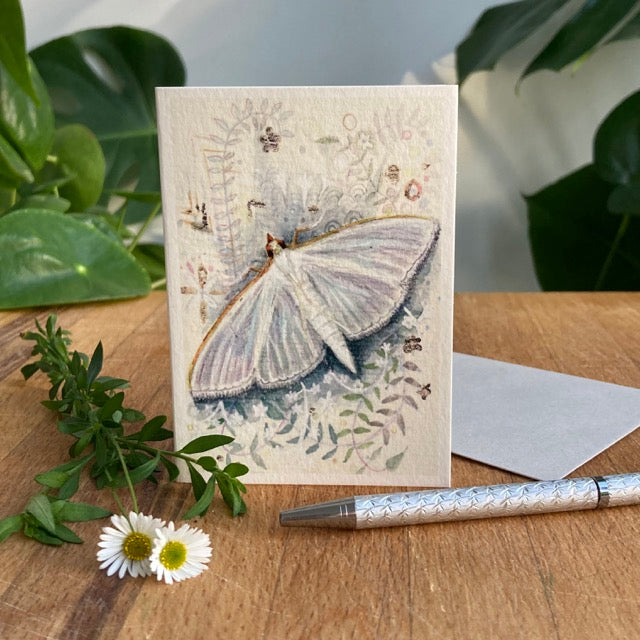Set of 5 A7 Moth Greetings Cards
