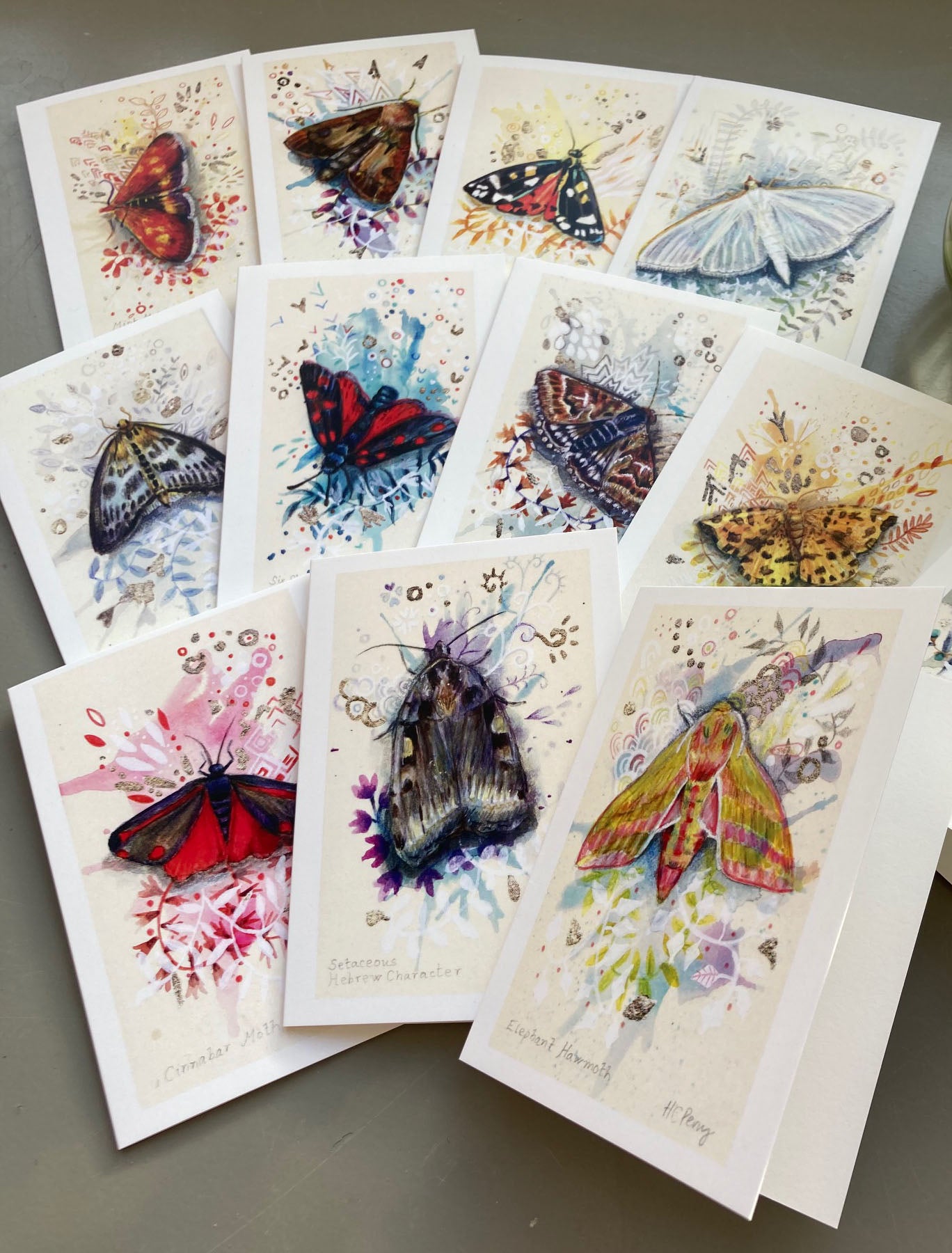 12 Moth Greetings Cards.
