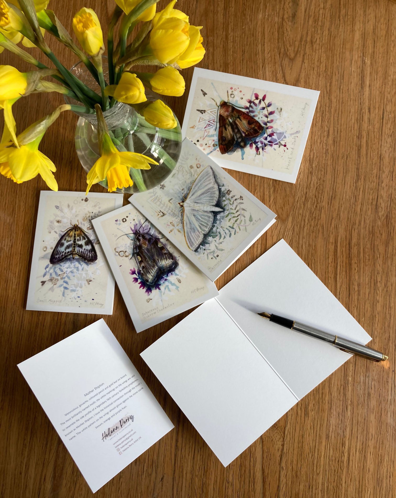 12 Moth Greetings Cards.