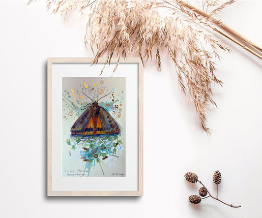 Lesser Yellow Underwing.